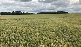 Banff Monitor Farm Summer Open Meeting